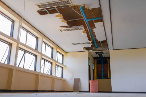Best Water damage contractors near me  in Tyndall Af, FL