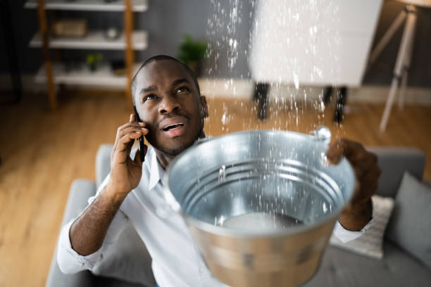 Best Water damage contractors near me  in Tyndall Af, FL