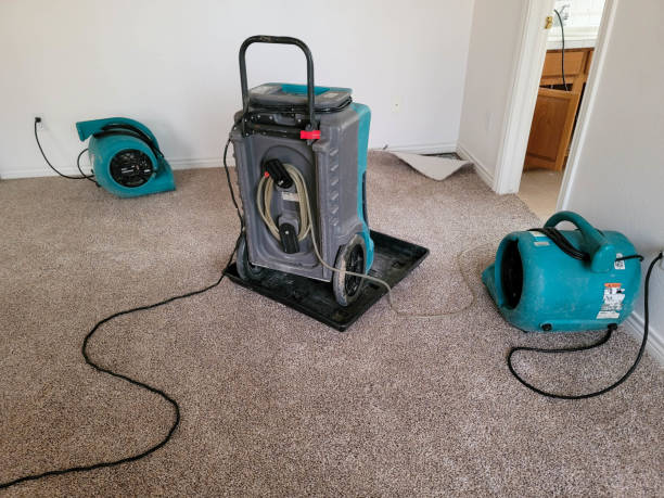 Best Water damage repair service  in Tyndall Af, FL