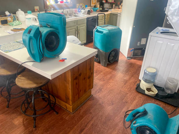 Best Water damage restoration mold remediation  in Tyndall Af, FL