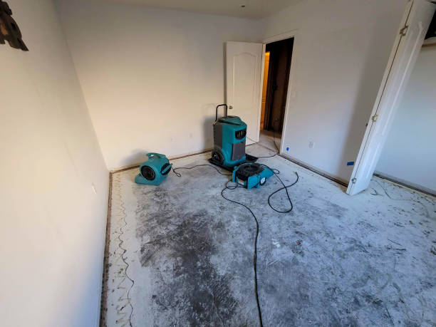 Best Local water damage restoration  in Tyndall Af, FL