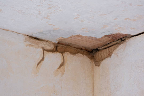 Best Commercial water damage restoration  in Tyndall Af, FL