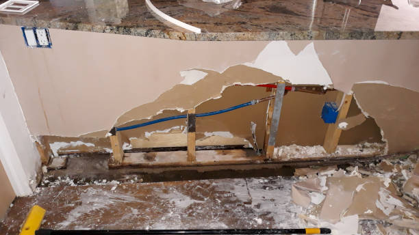 Best Carpet water damage restoration  in Tyndall Af, FL
