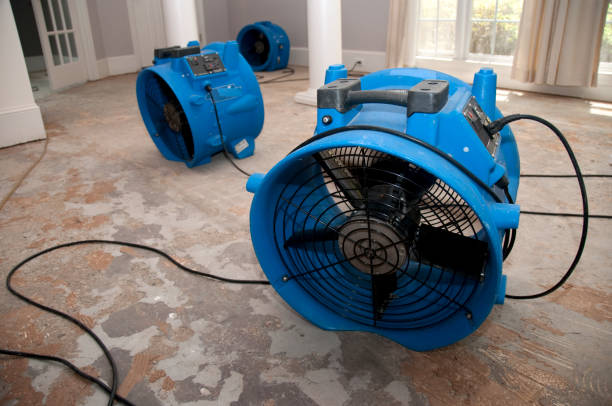 Best 24-hour water damage restoration  in Tyndall Af, FL