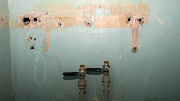 Best Professional water damage repair  in Tyndall Af, FL