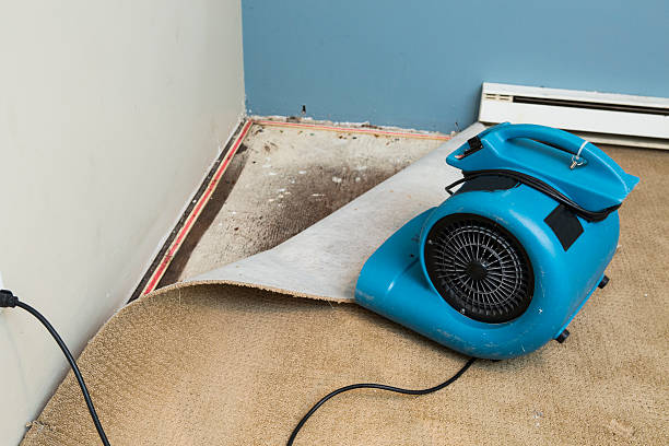 Best Flood damage cleanup  in Tyndall Af, FL